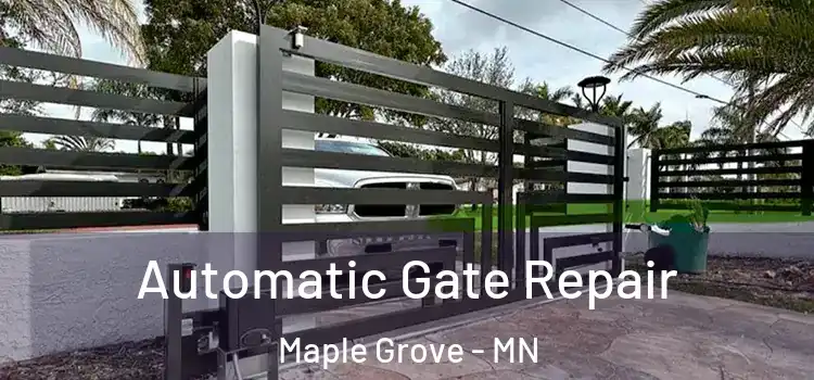 Automatic Gate Repair Maple Grove - MN