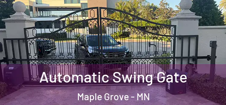 Automatic Swing Gate Maple Grove - MN