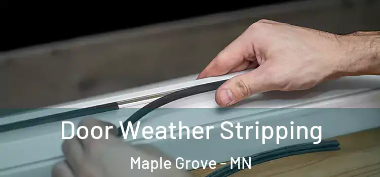 Door Weather Stripping Maple Grove - MN