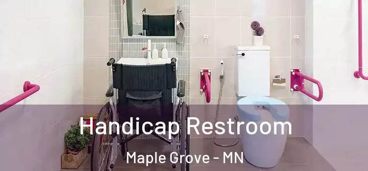 Handicap Restroom Maple Grove - MN