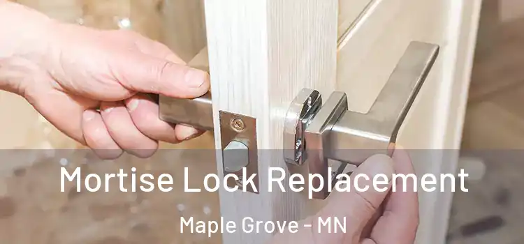 Mortise Lock Replacement Maple Grove - MN