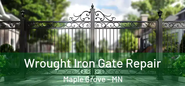Wrought Iron Gate Repair Maple Grove - MN